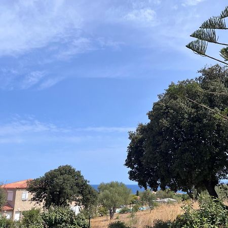 Appartement Rez De Villa LʼÎle-Rousse المظهر الخارجي الصورة
