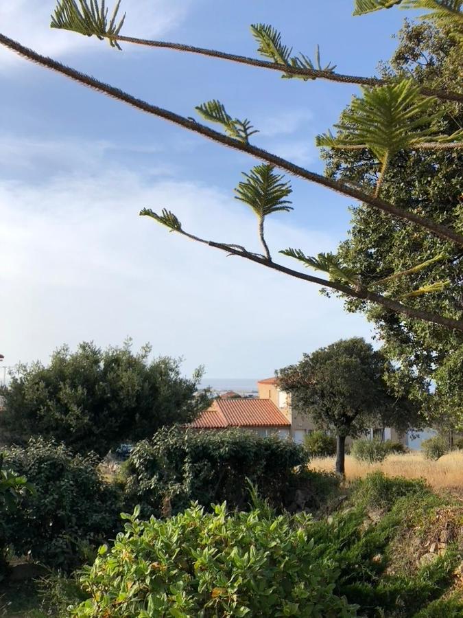 Appartement Rez De Villa LʼÎle-Rousse المظهر الخارجي الصورة