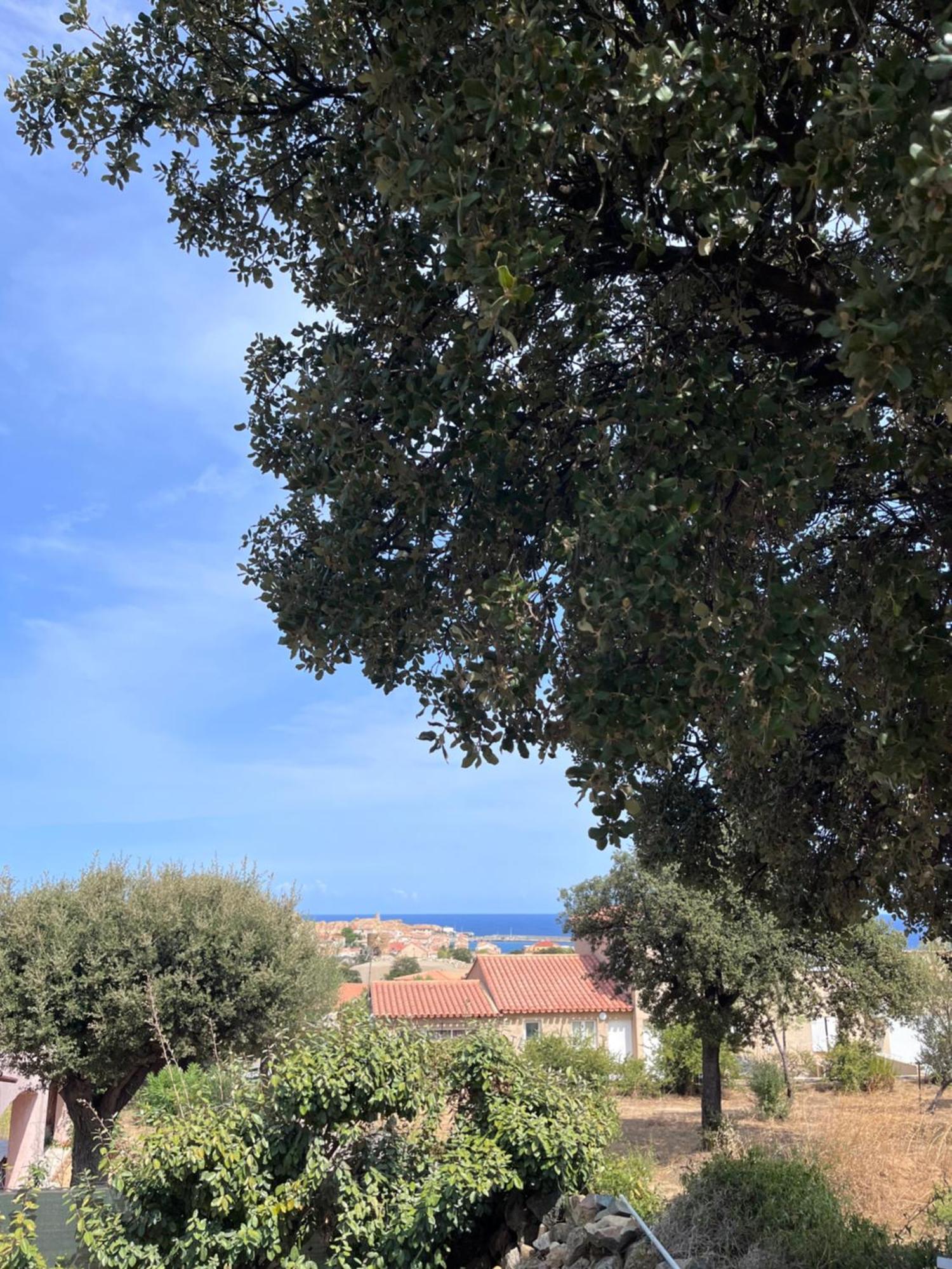 Appartement Rez De Villa LʼÎle-Rousse المظهر الخارجي الصورة