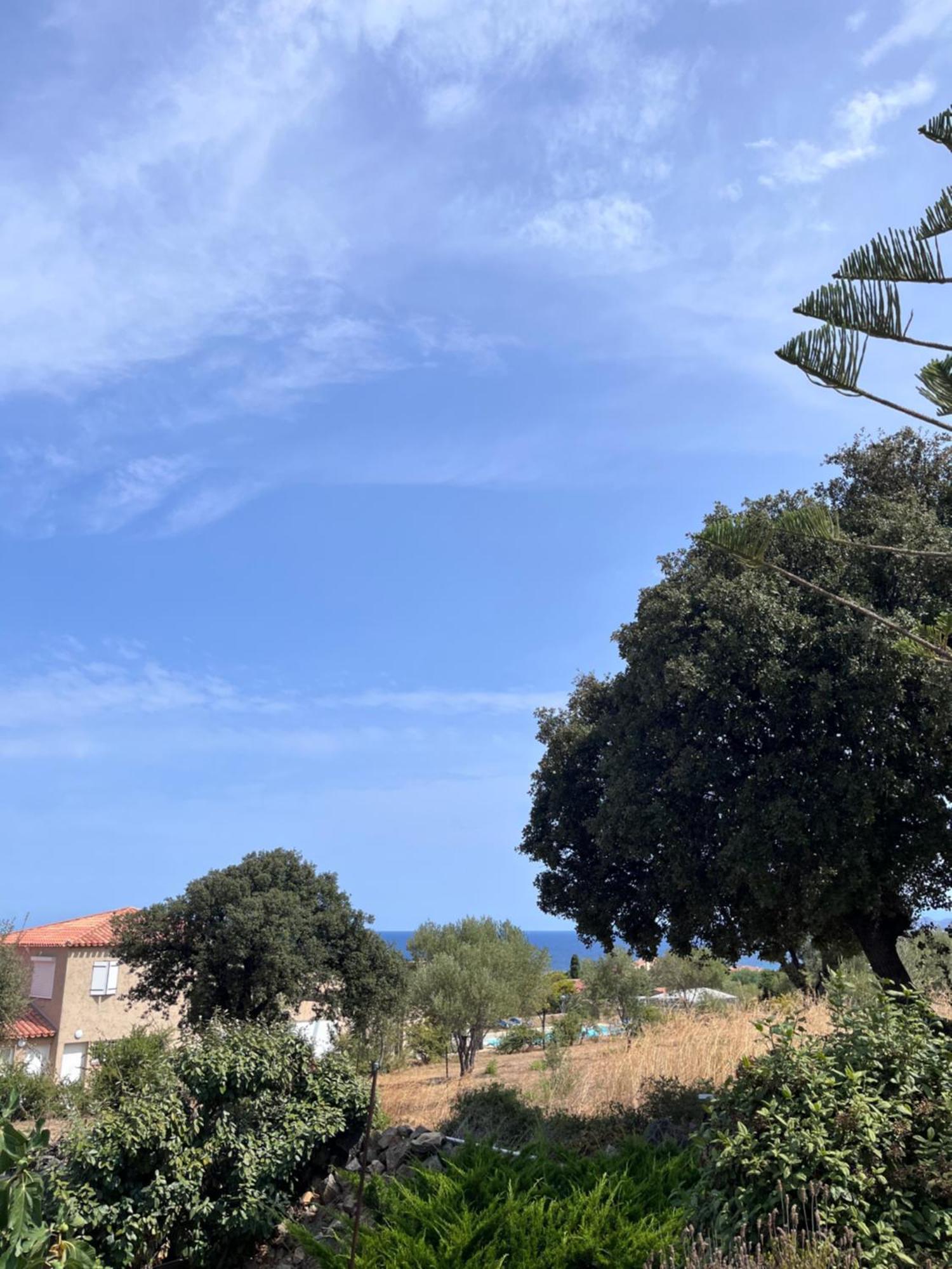 Appartement Rez De Villa LʼÎle-Rousse المظهر الخارجي الصورة